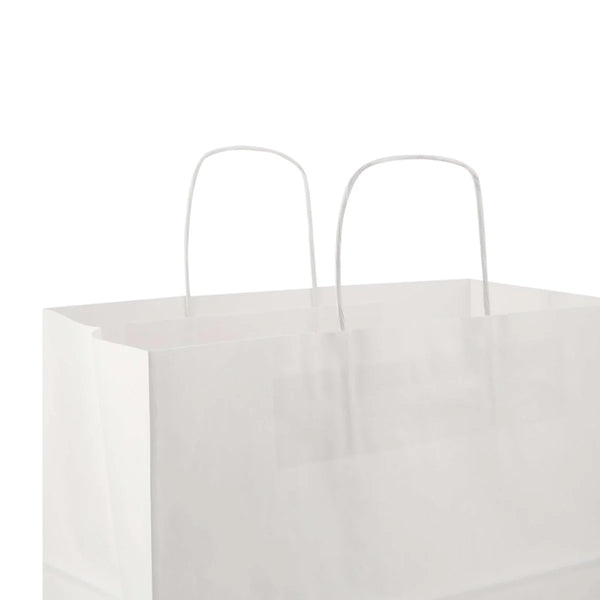 Paper Bag White Twisted Handle
