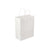 Paper Bag White Twisted Handle