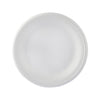 White Round Foam Plate 9 Inch-500 Pieces
