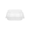 Clear Square Hinged Container