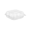 Clear Square Hinged Container