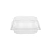 Clear Square Hinged Container