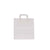 White Paper Bag Flat Handle
