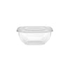 Square Salad Bowl With Clear Lid - hotpackwebstore.com