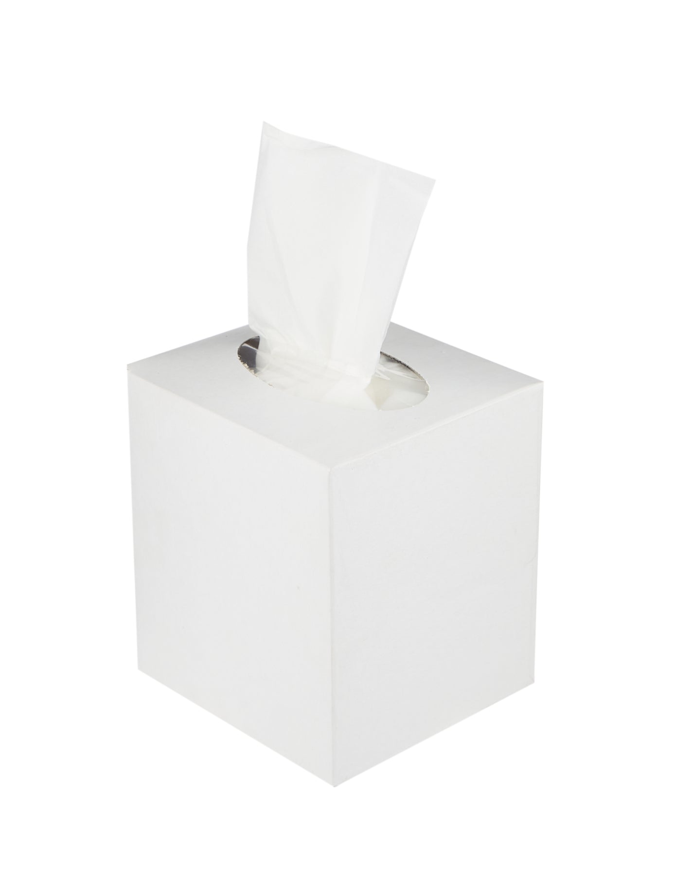 Boutique Tissue White Cube 100 Sheets 36 Boxes – hotpack.bh