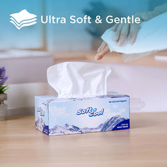 Soft N Cool Facial Tissue 200 Pulls X 2 Ply 30 Boxes + 150 Pull X 2 Ply 6 Box
