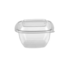 300 Pieces Square Salad Container + Lids