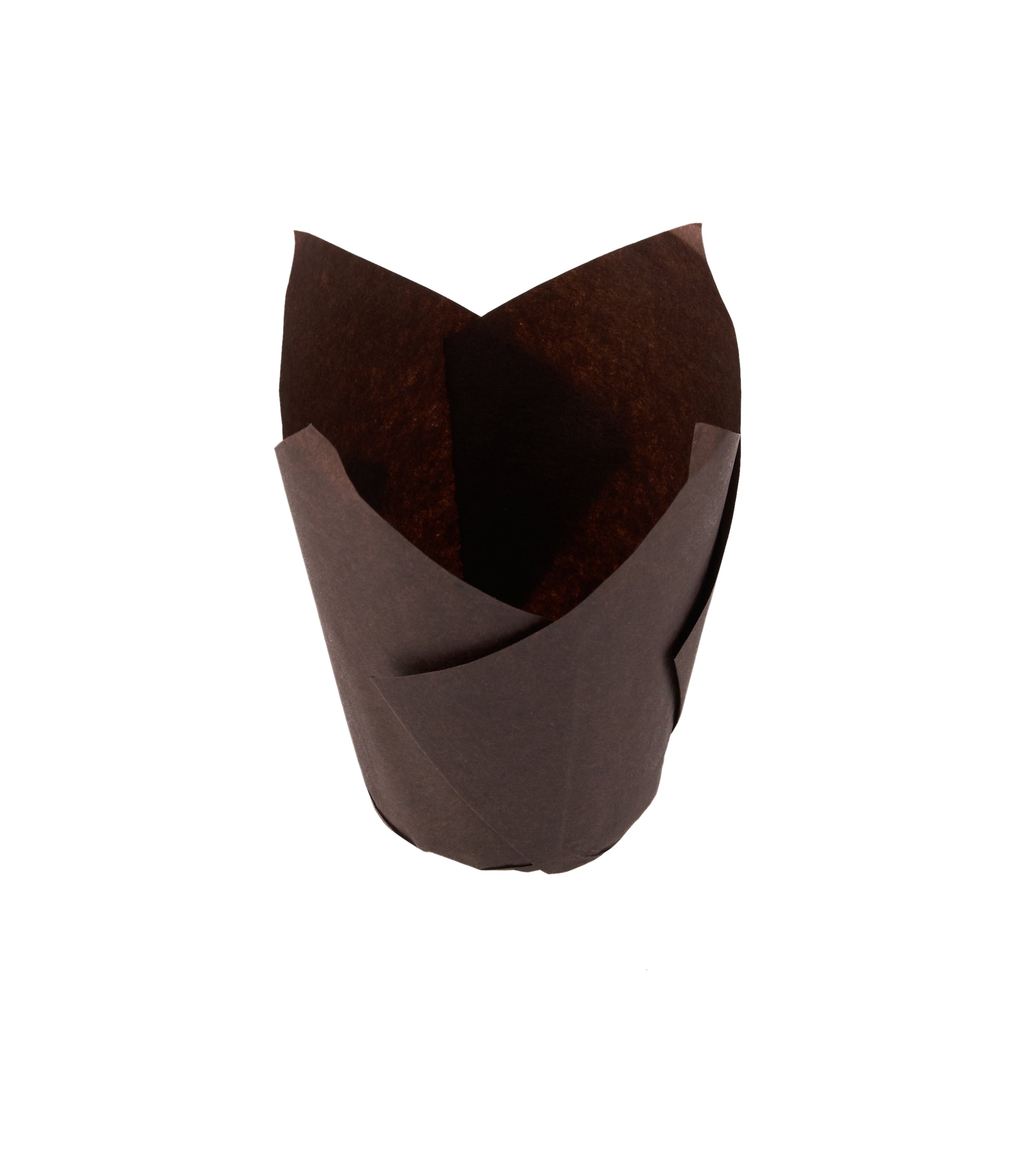 Brown Tulip Muffin Paper Cups