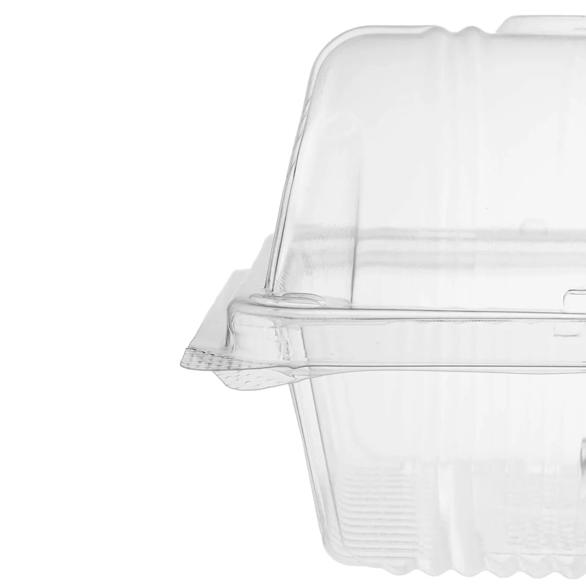 Clear Rectangular Hinged Container