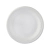 500 Pieces White Round Foam Plate 10 Inch