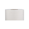 Soft n Cool Paper Maxi Roll Embossed Perforated 900 Gram 2 Ply Green Poly 6 Pieces - hotpackwebstore.com - Maxi Roll