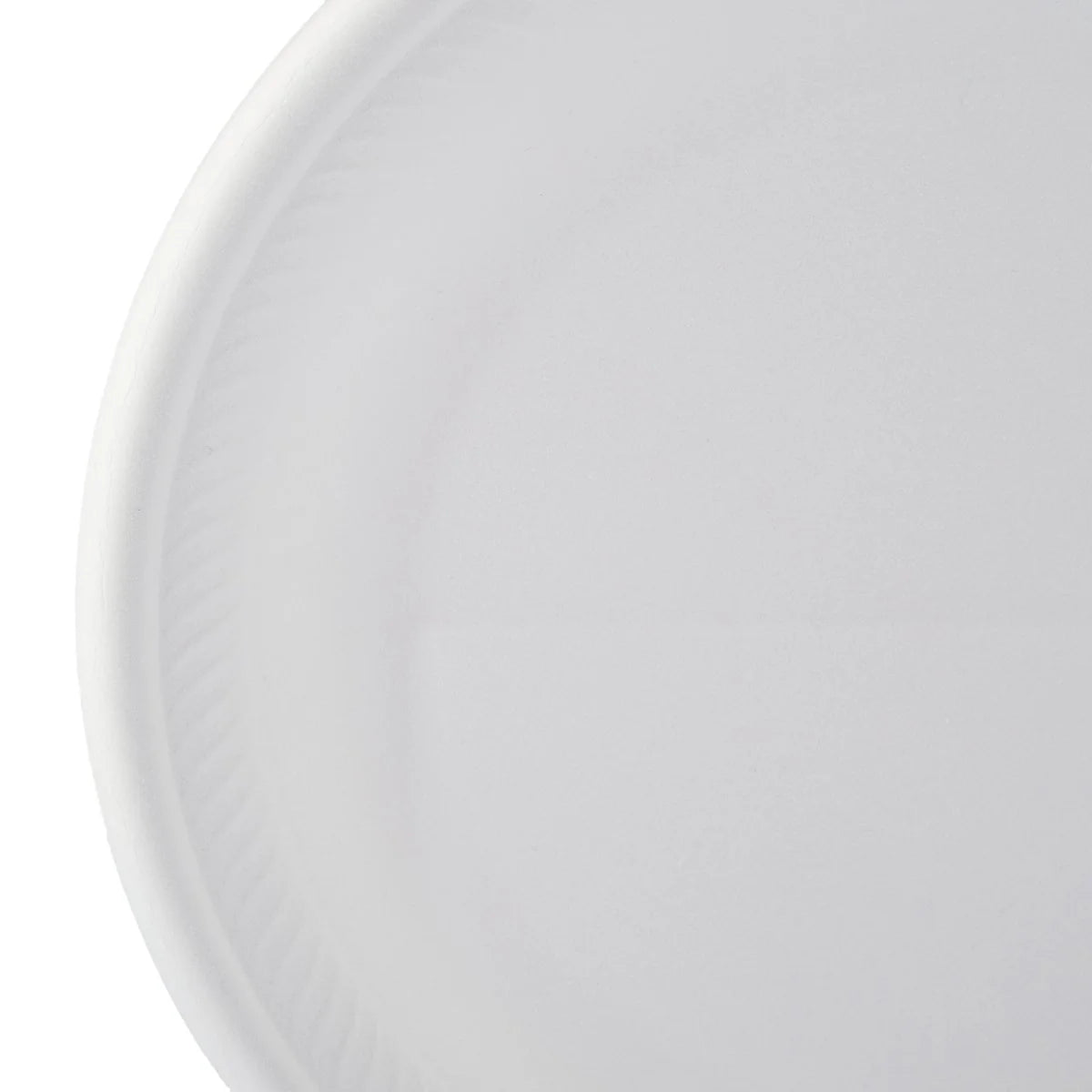 White Round Foam Plate 10 Inch