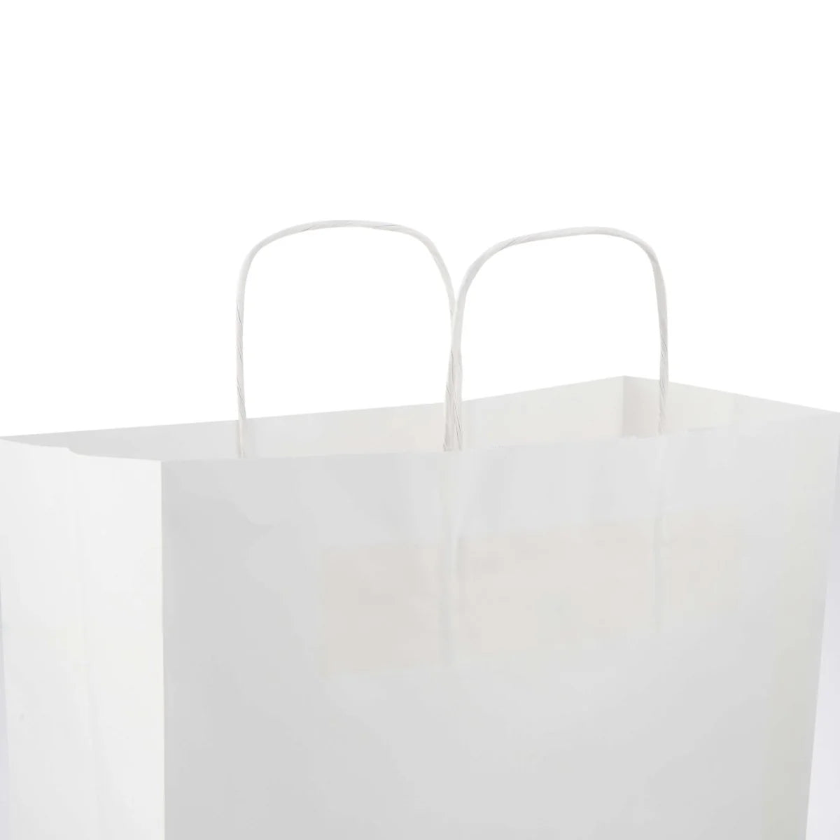 Paper Bag White Twisted Handle