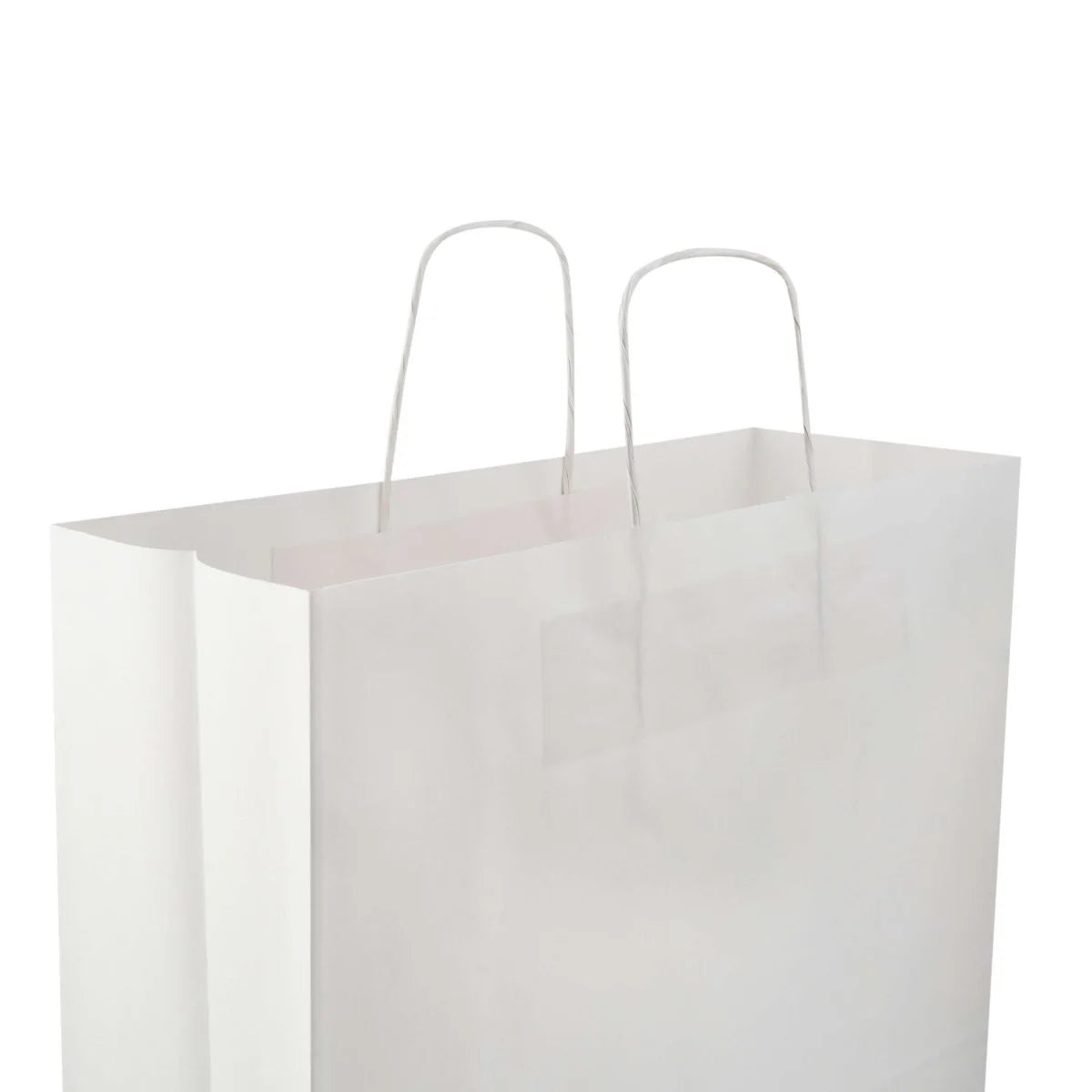 Paper Bag White Twisted Handle