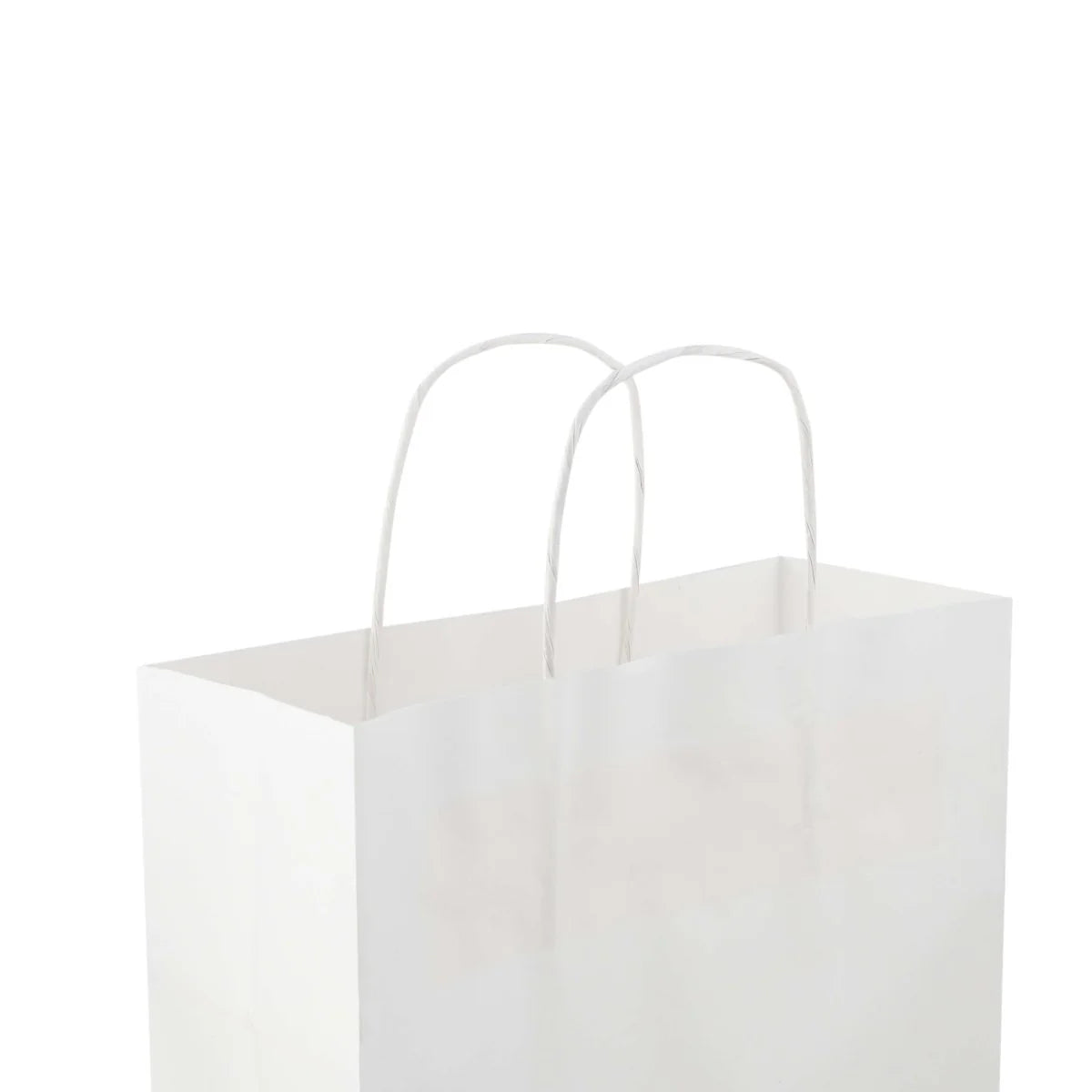 Paper Bag White Twisted Handle