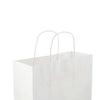 Paper Bag White Twisted Handle
