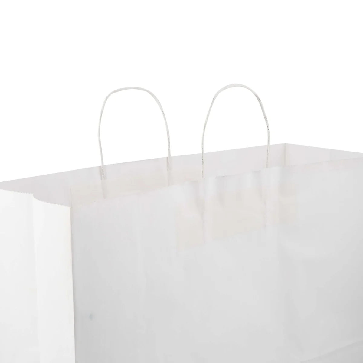 Paper Bag White Twisted Handle