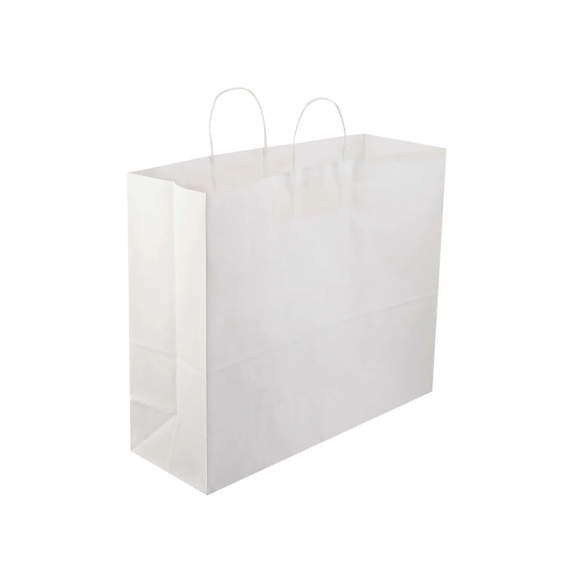 Paper Bag White Twisted Handle