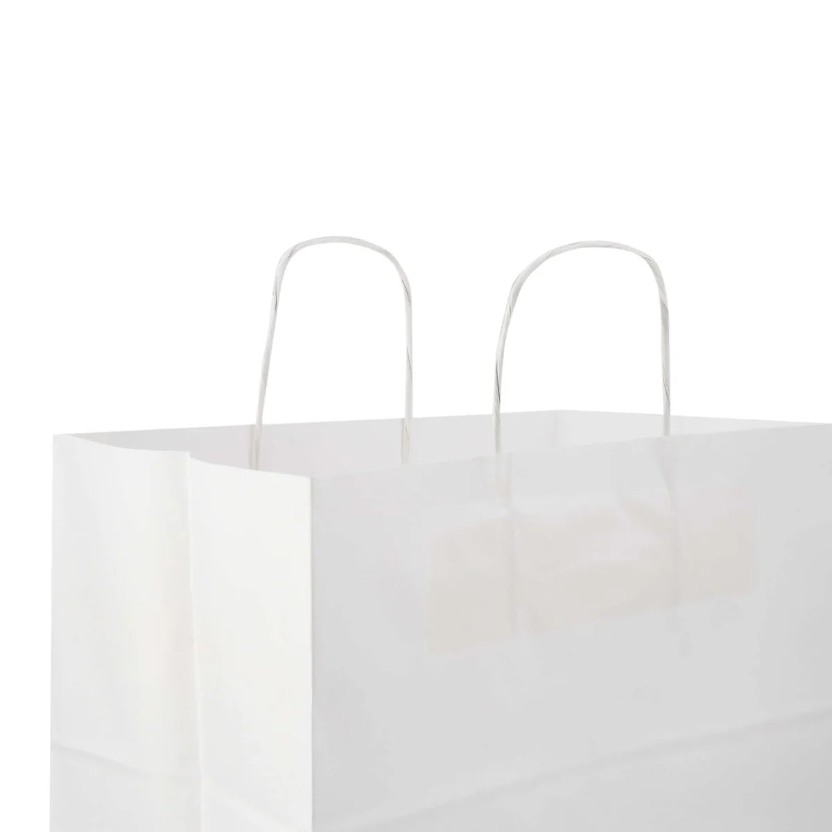 Paper Bag White Twisted Handle