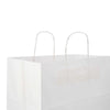 Paper Bag White Twisted Handle