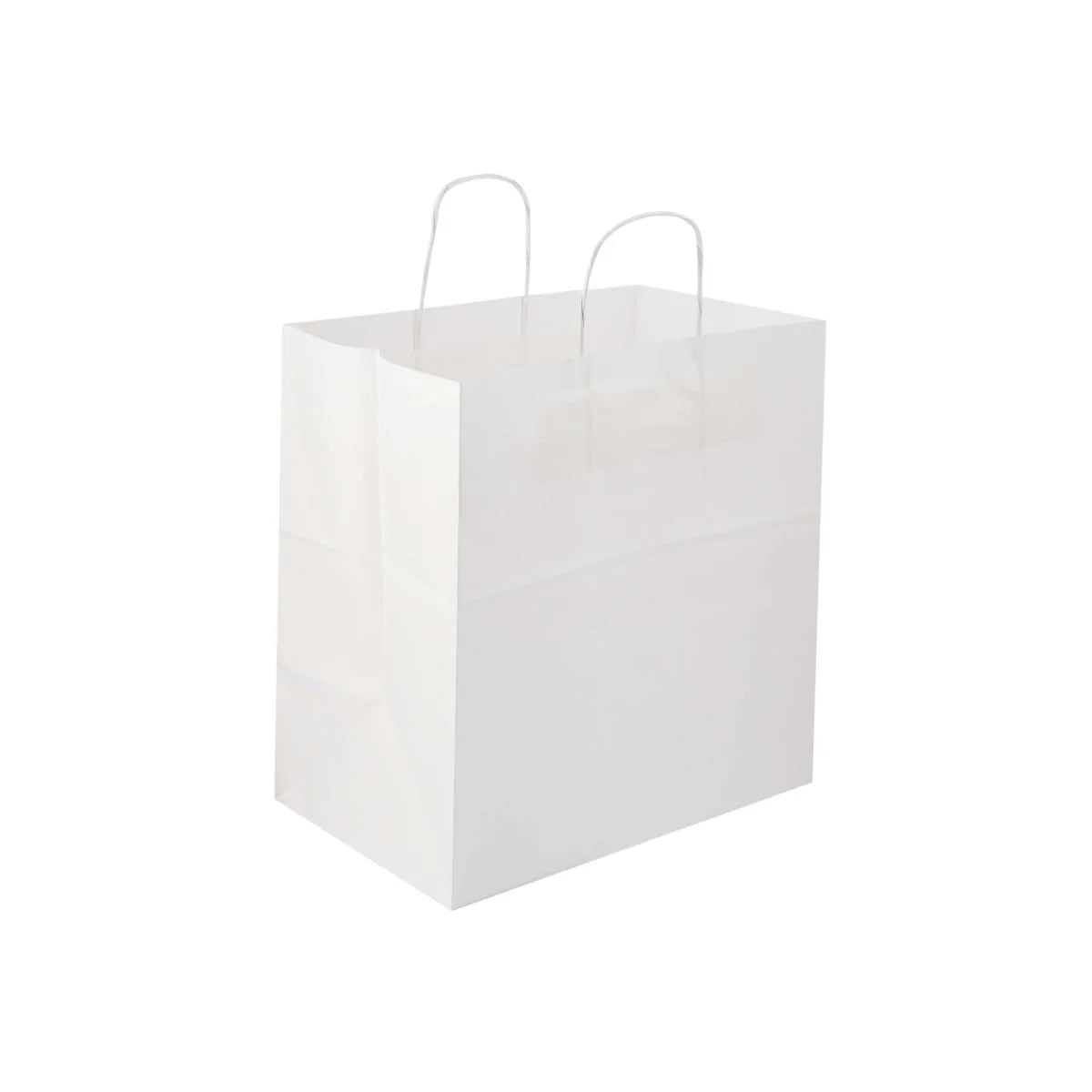 Paper Bag White Twisted Handle