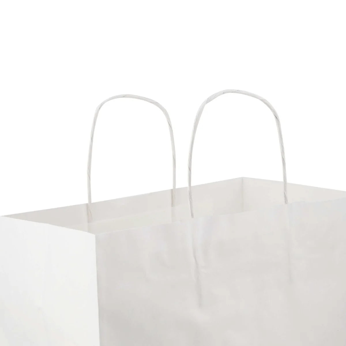 Paper Bag White Twisted Handle