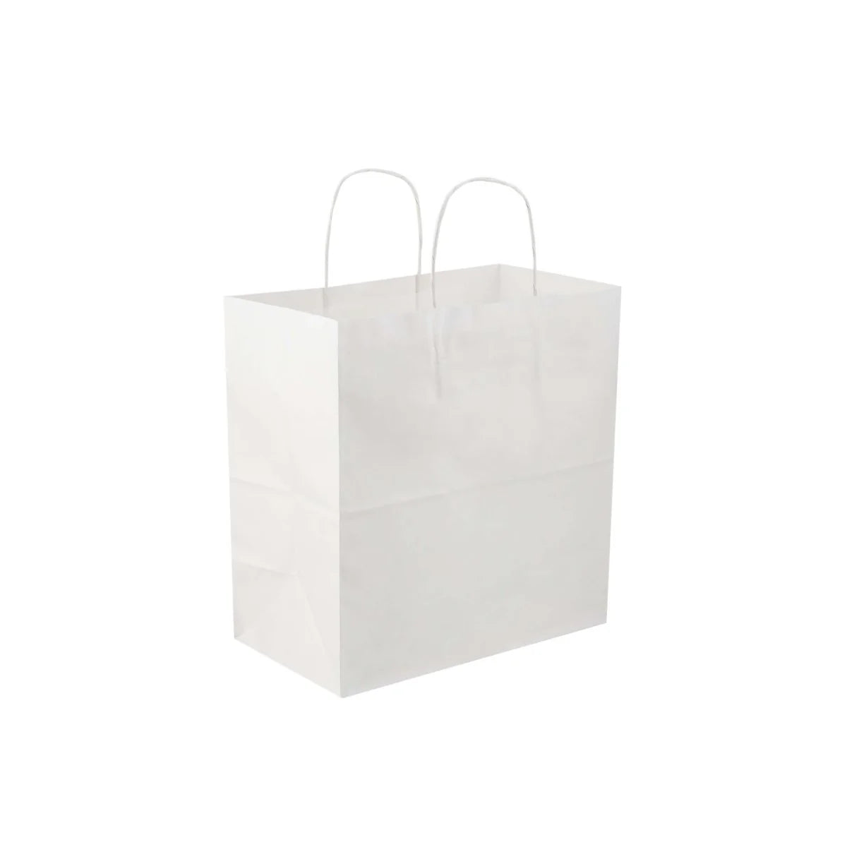 Paper Bag White Twisted Handle