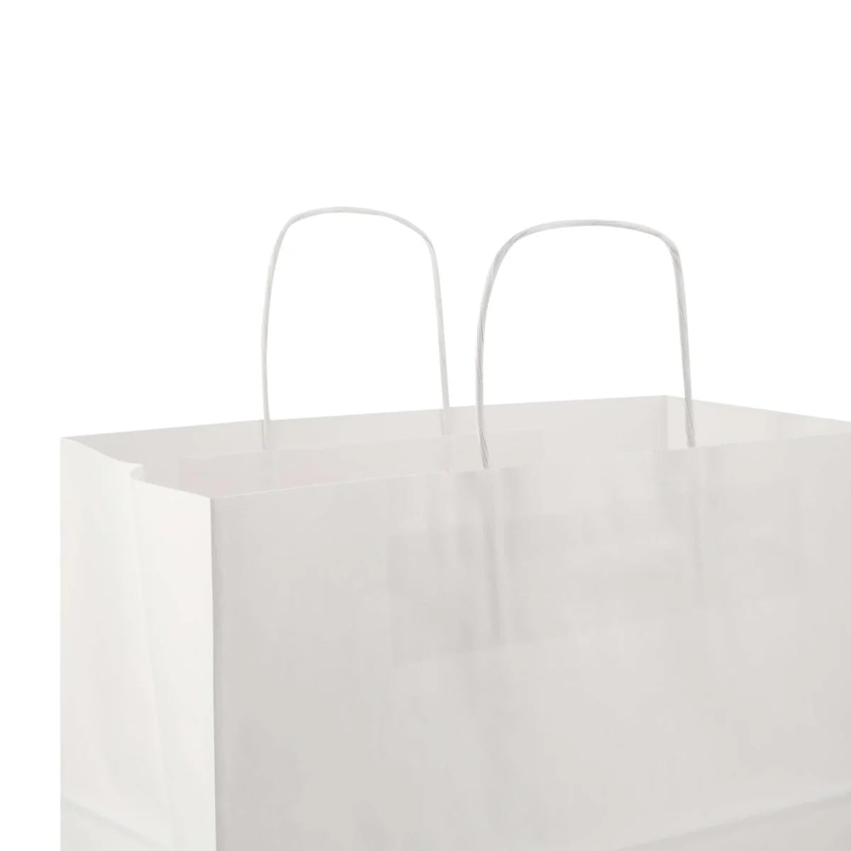 Paper Bag White Twisted Handle