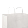 Paper Bag White Twisted Handle