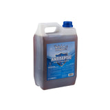 4 Pieces Anti Septic 5 Liter (TRIGARD)