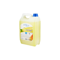 4 Pieces Soft N Cool Liquid Hand Wash Liquid Lemon 5 Liter