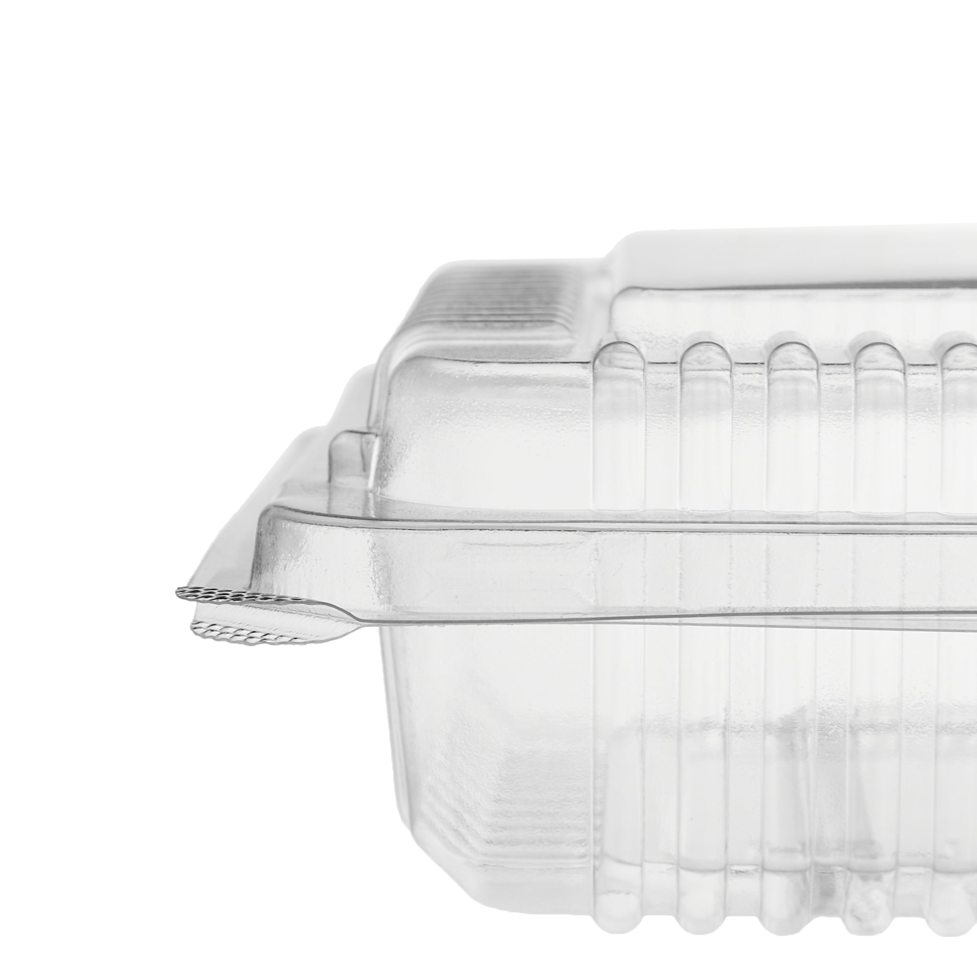 Clear Hinged Rectangular Container