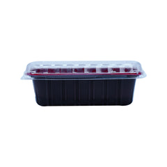 Red & Black Base Container with Lid