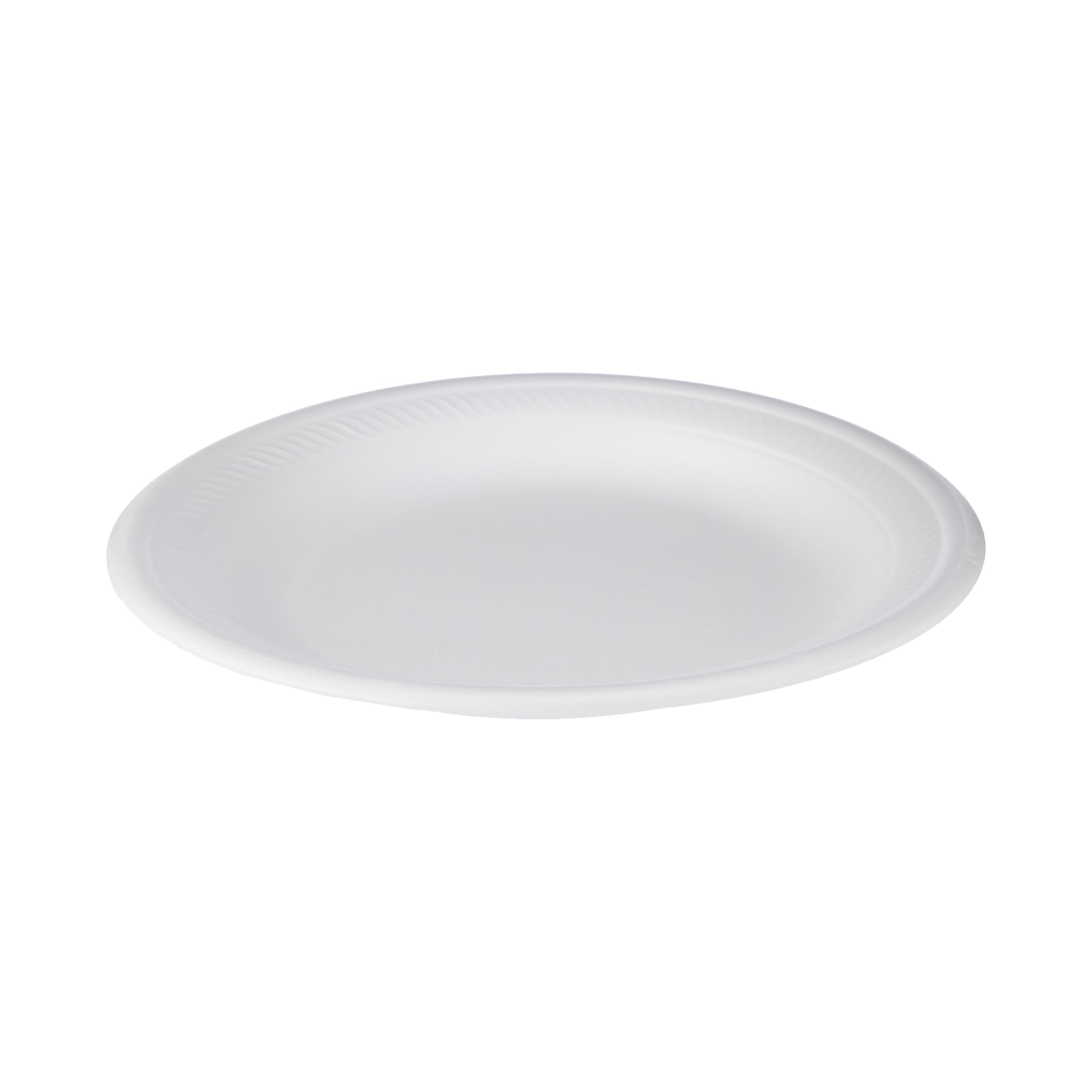 250 Pieces White Round Foam Plate 10 Inch –