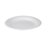 500 Pieces White Round Foam Plate 9 Inch
